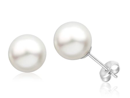 Julio  9ct White Gold White South Sea Pearl Stud Earrings For Sale