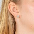 Sterling Silver With 2 Diamond Oval Shape Earring Stud Sale