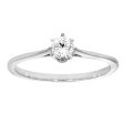 9ct White Gold  1 4 Carat Diamond Solitaire Ring Supply