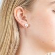 White 7.5-8mm Freshwater Pearl Stud Earrings Online