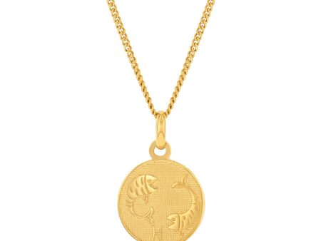 9ct Yellow Gold Zodiac Pisces Pendant Online Sale