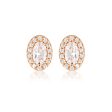 Georgini Aurora Rose Gold Plated Sterling Silver Glow Earrings Supply