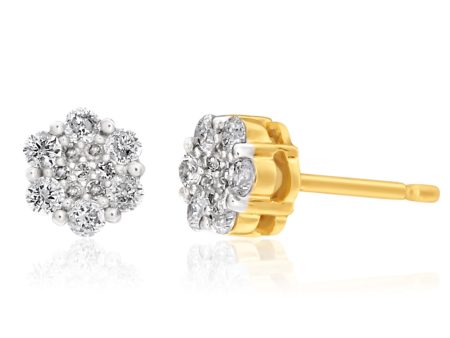 Snowflake 9ct Yellow Gold Diamond 1 4 Carat Delightful Stud Earrings Cheap