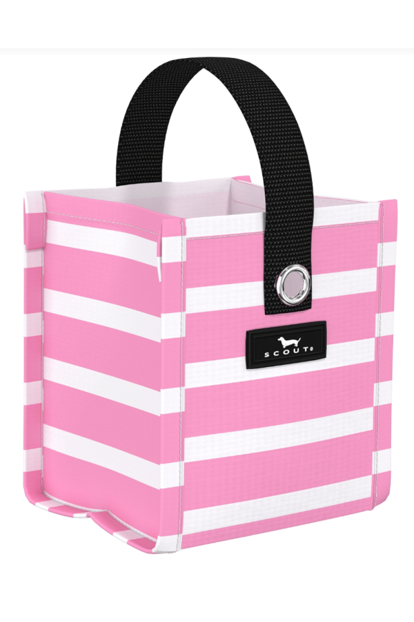 Mini Mini Package Gift Bag -  Palmetto Pink  SP25 Hot on Sale